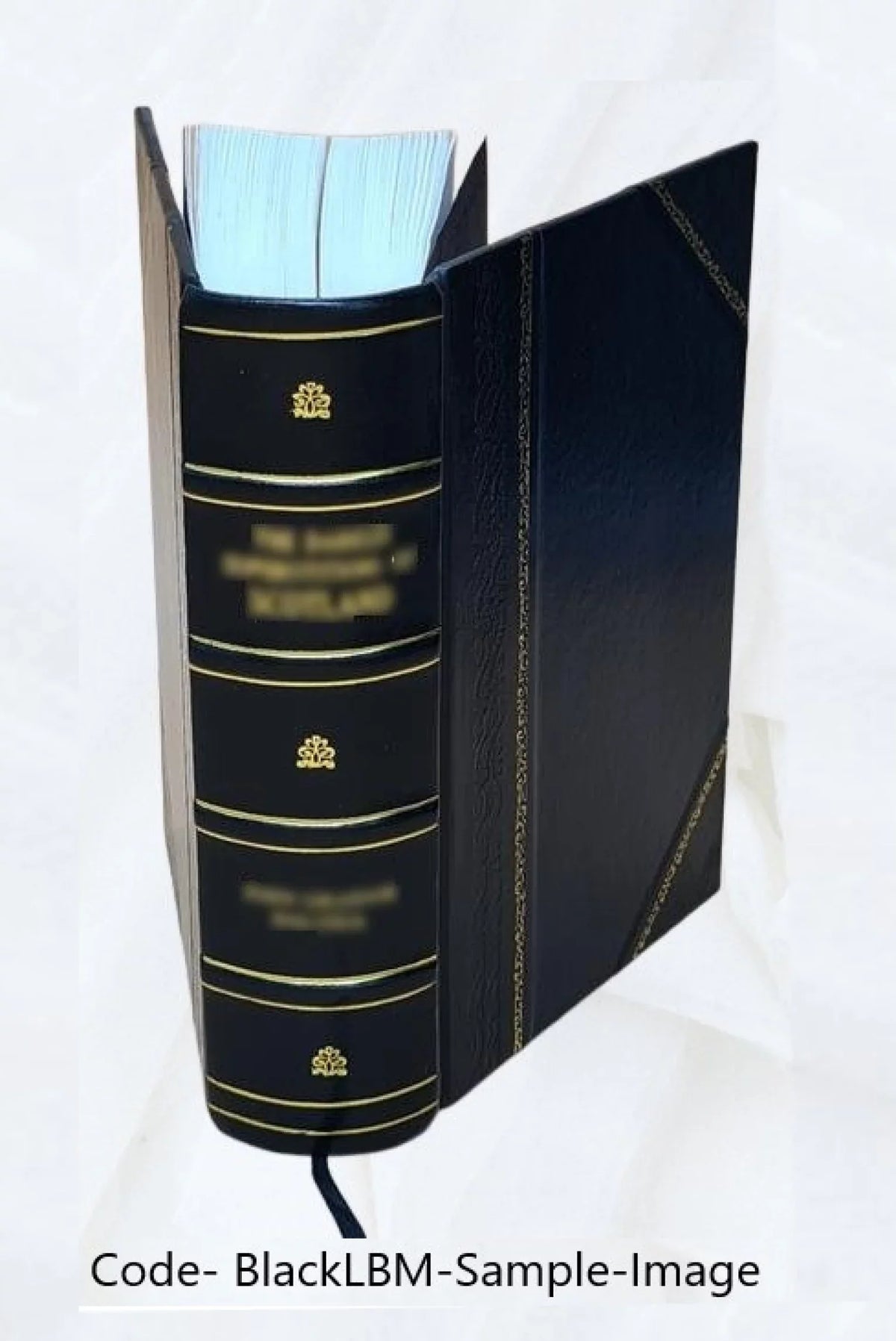 Dictionnaire turc-franÃais a l'usage des agents diplomatiques et ... Volume 1 1835 [Leather Bound]