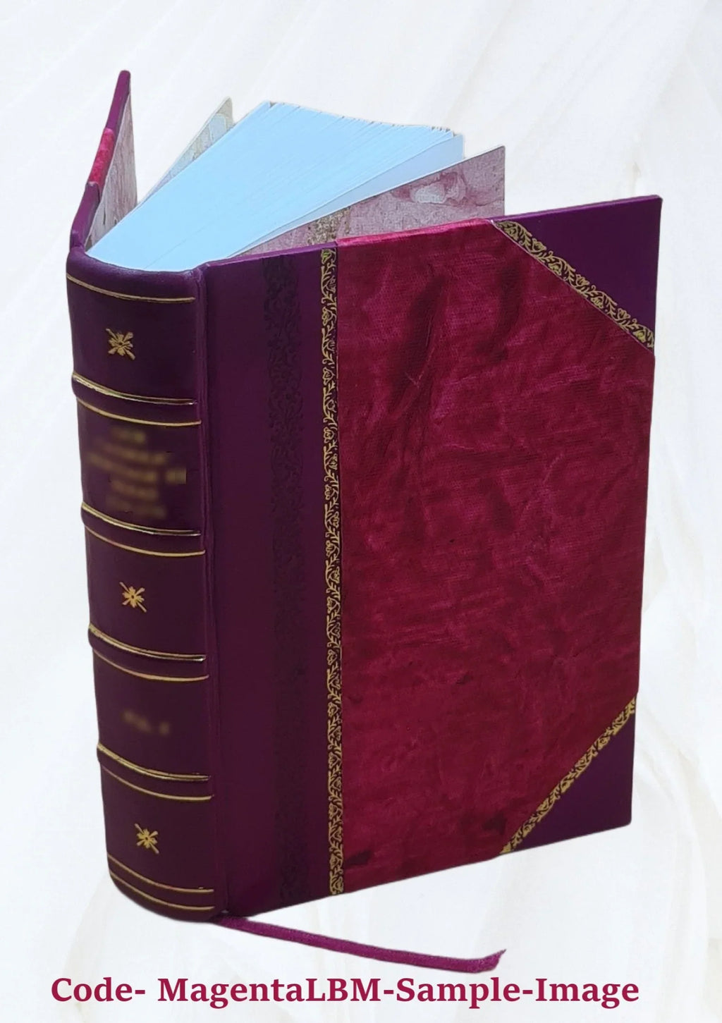 Dictionnaire turc-franÃais a l'usage des agents diplomatiques et ... Volume 1 1835 [Leather Bound]