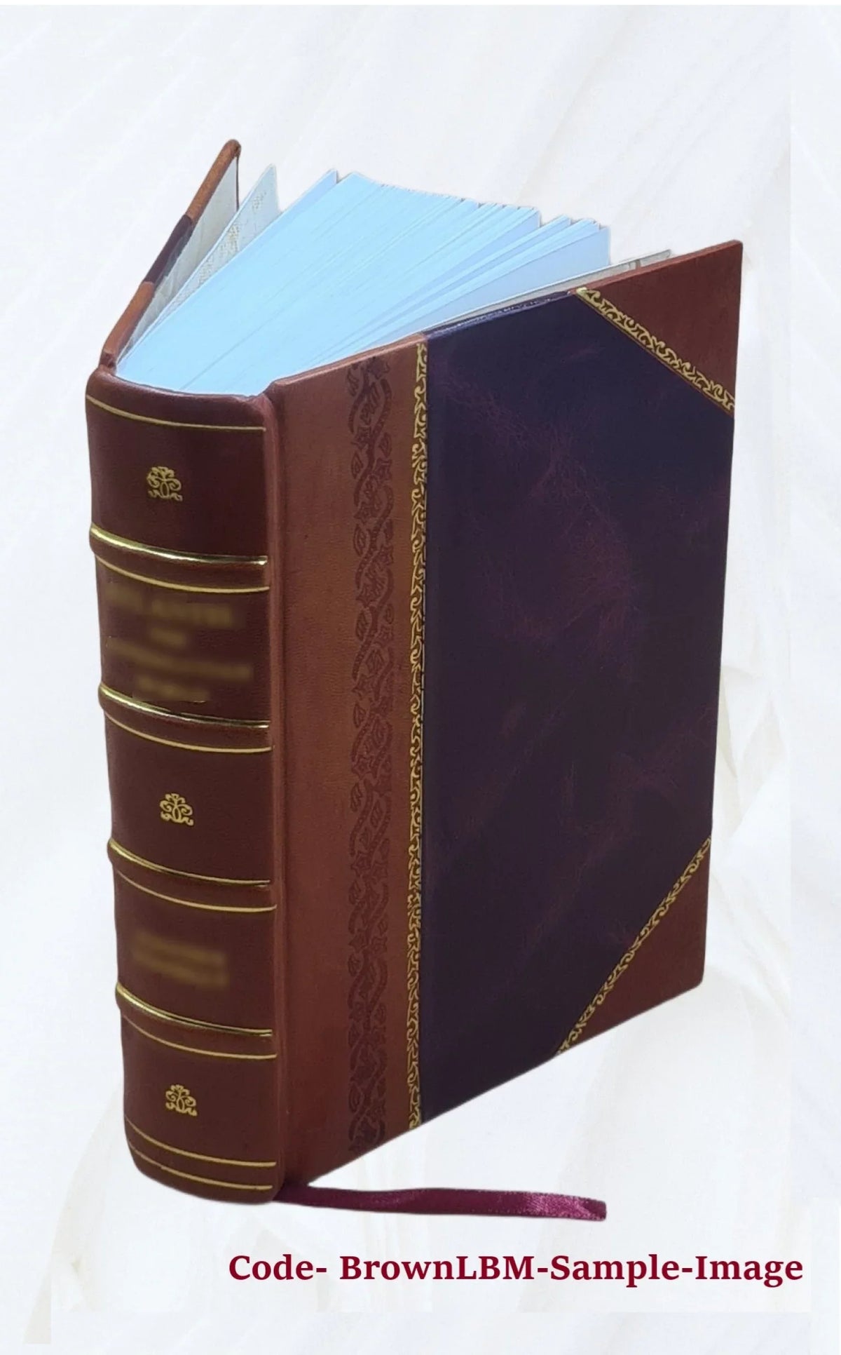 Boletín oficial de marcas y patentes / Secretaría de Agricultura, Comercio y Trabajo. Volume 1924 1924 [Leather Bound]