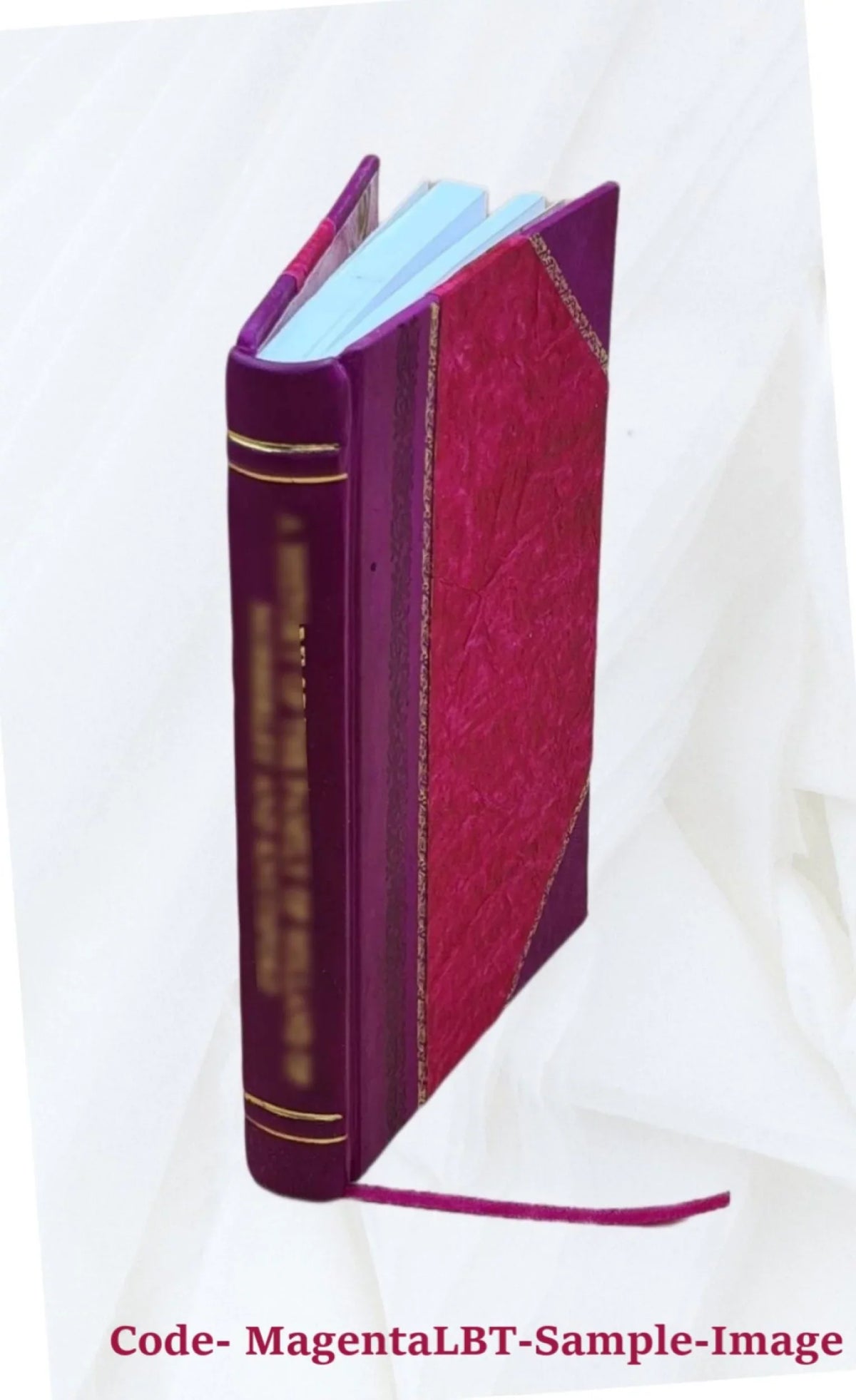 La pinacoteca di Brera. 1921 [Leather Bound]
