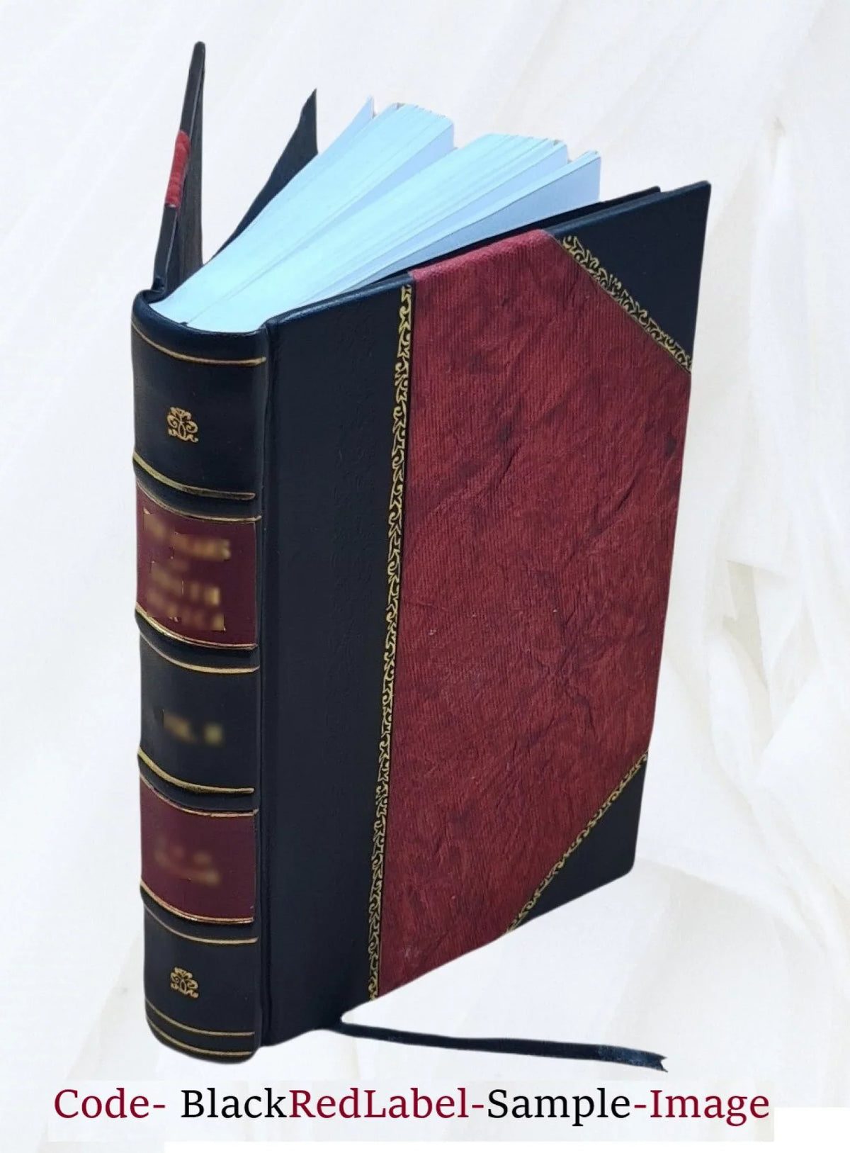 Letters concerning the constitution and order of the Christian ministry: addressed to the members of the Presbyterian churches in the city of New York. To which is prefixed, a letter on the present as