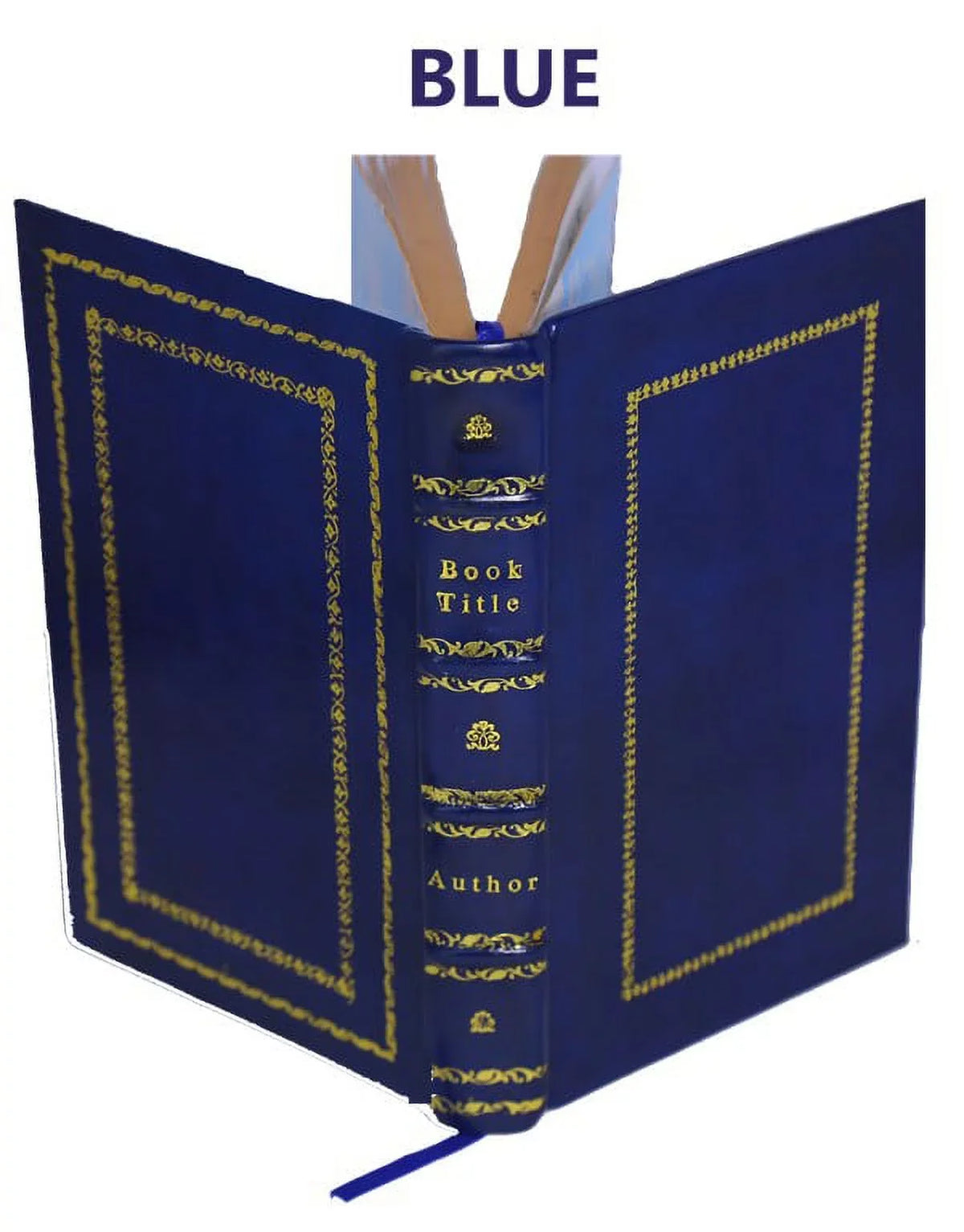 Prodromus philosophiae ratiocinantis de infinito et causa finali creationis deque mechanismo operationis animae et corporis 1734 [Premium Leather Bound]