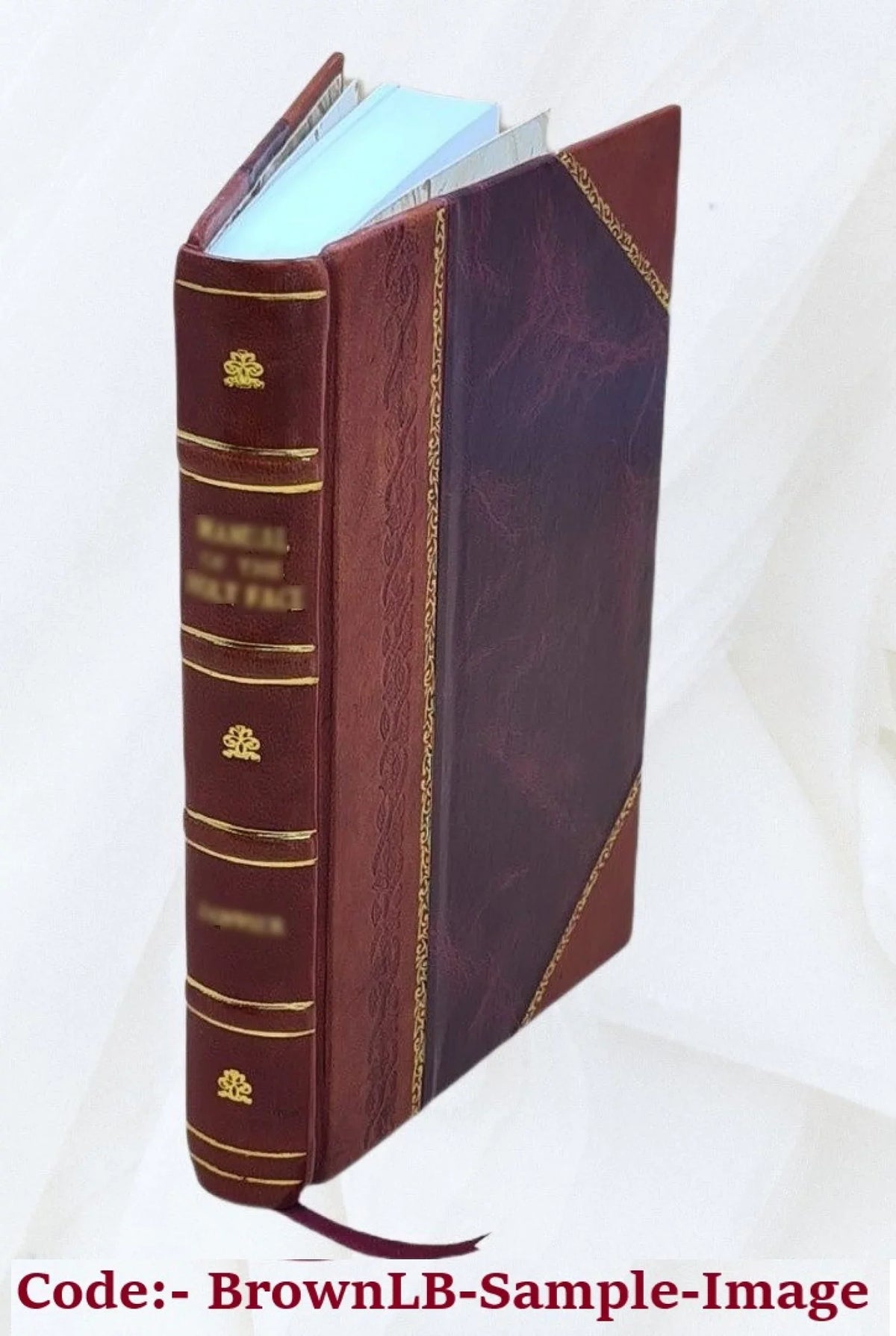Der Pitaval der Gegenwart : Almanach interessanter Straffälle / herausgegeben von dr. R. Frank, dr. G. Roscher, dr. H. Schmidt. Volume Bd.2 (1906) 1914 [Leather Bound]